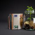 denar evro evrski bankovci kozarec rastlina
