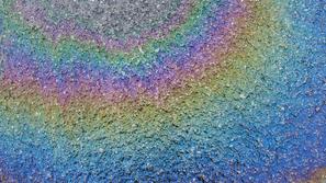 (Foto: Shutterstock)