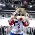 svetovno prvenstvo maskota stožice slovenija japonska hokejska reprezentanca hok
