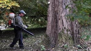 Letos bo lahko prek javnih del delalo največ 2.600 brezposelnih, kar je za pribl