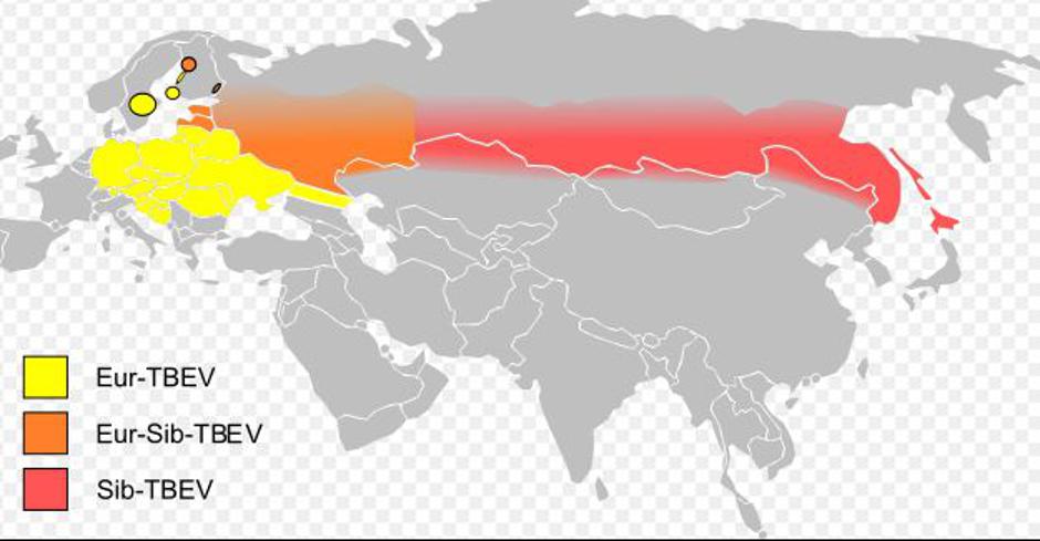 Edemsko območje klop | Avtor: NIJZ