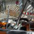 Volkswagen LGV, caddy, multivan, transporter, ID buzz, ID buzz cargo, amarok, california