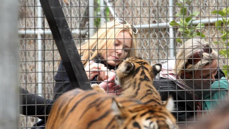 Kylie Minogue živalski vrt