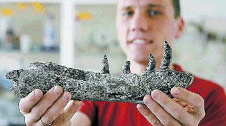 Paleontolog Tomasz Sulej kaže kost tiranozavrovega prednika.