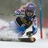 Worley Maribor Pohorje zlata lisica veleslalom alpsko smučanje