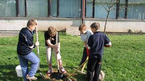 Otroci z osnovne šole Božidarja Jakca so pri projektu Ekošola zasadili drevesa.