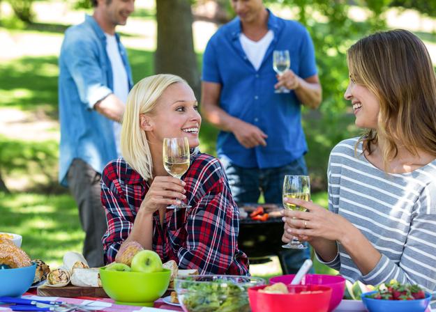 žar, piknik, prijatelji, vino