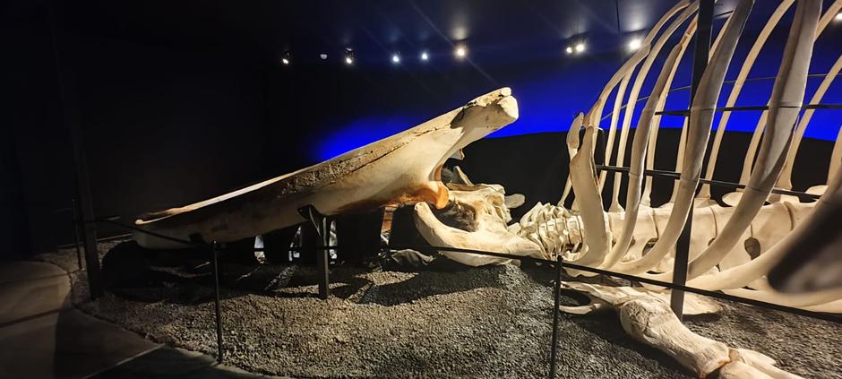 Islandija | Avtor: Žurnal24/Nina Šprohar