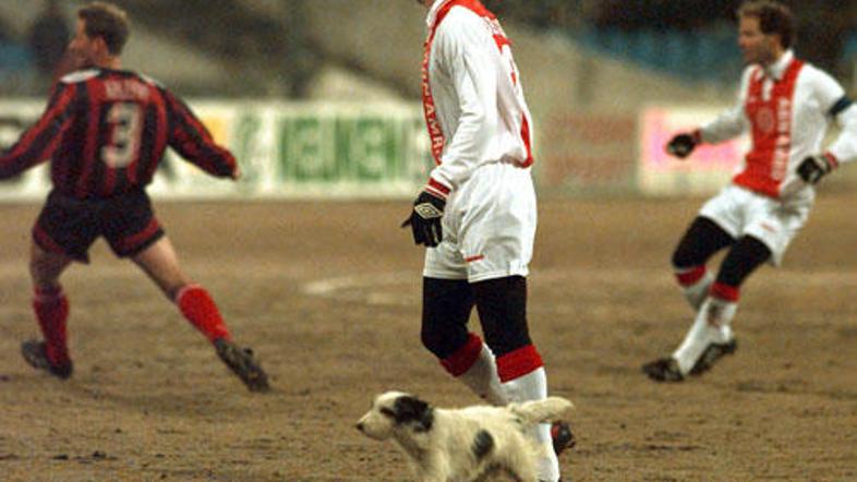 Tega psička nogometni zvezdniki Ajaxa niso prav posebej zanimali.