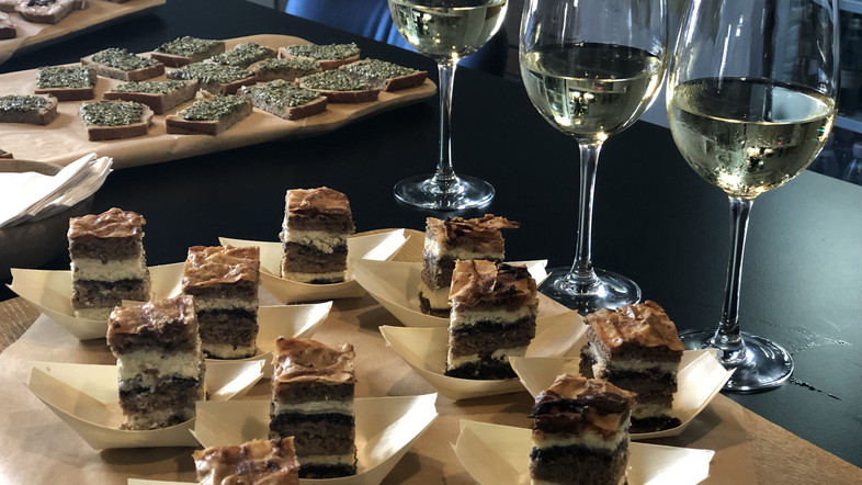 Zavod za kulturo, turizem in šport Murska Sobota