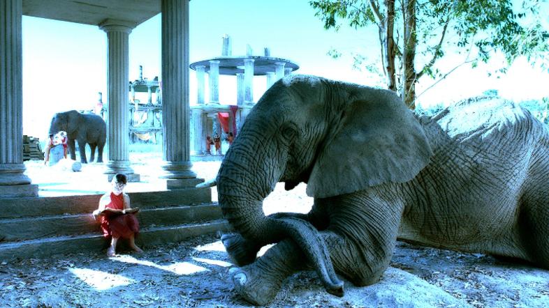 Čarobno potovanje v Afriko