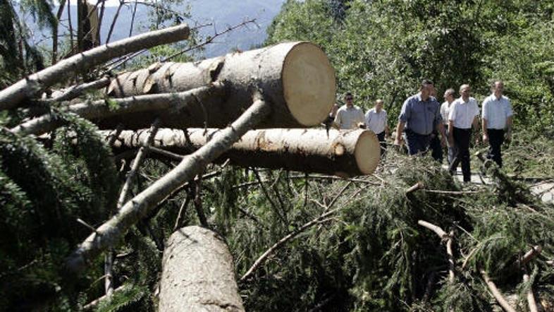 Preiskovalci so ugotovili, da je požagano drevo pokojnega udarilo v glavo, zarad