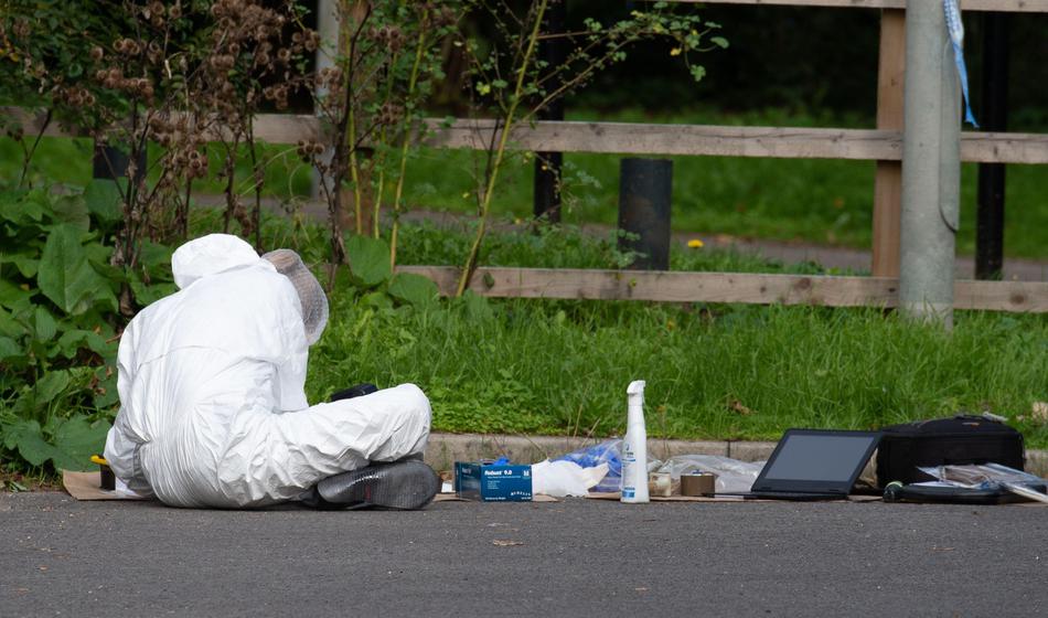 Najstniki moškega zvabili na odročen kraj in ga ubili, razlog pa grozljiv
