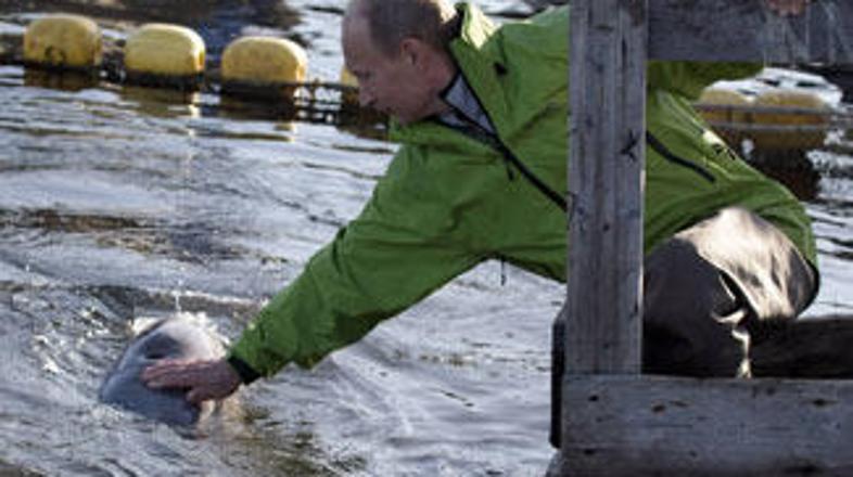 Vladimir Putin se kita ni prav nič bal.
