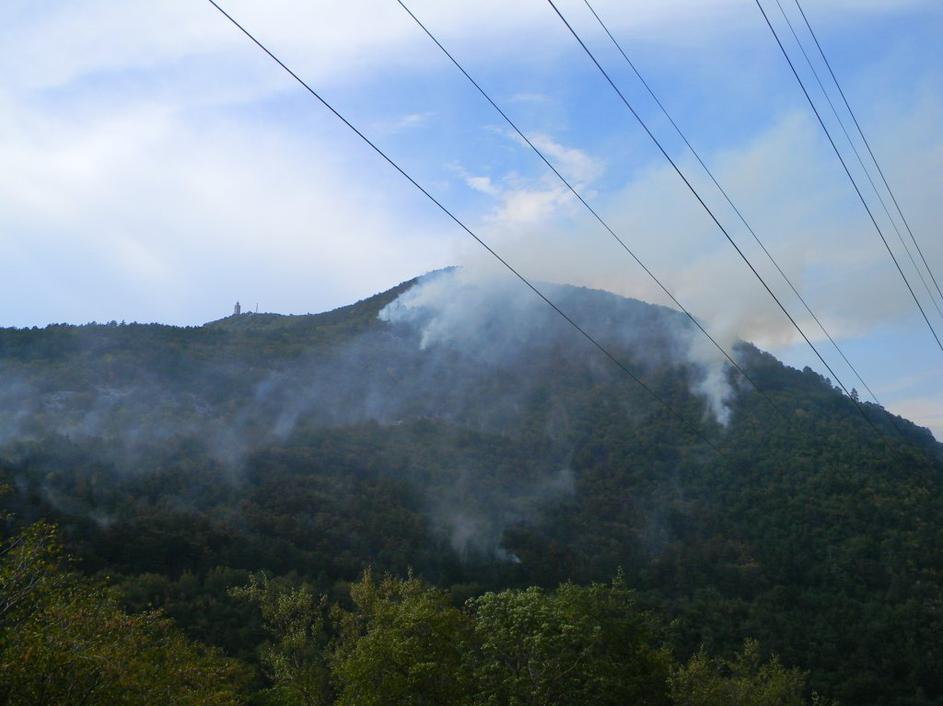 Požar na Sveti gori