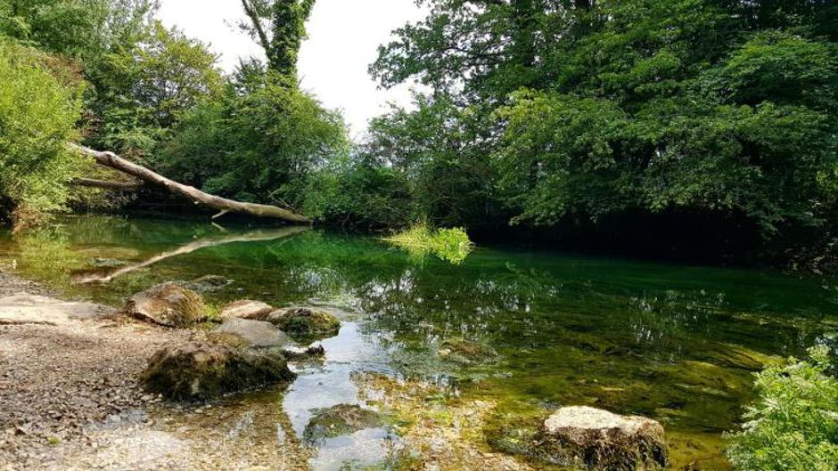 izvir Krke | Avtor: Jana Eržar