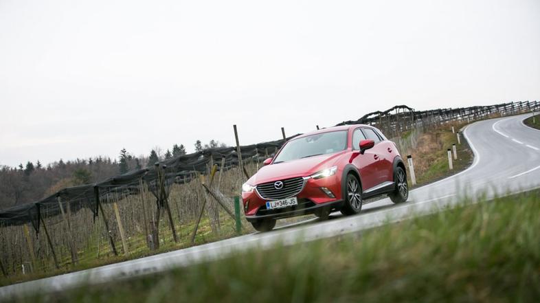 Veliki primerjalni test križancev