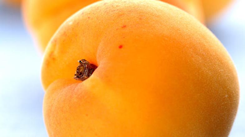 Živila so razdeljena v 16 kategorij. (Foto: Shutterstock)