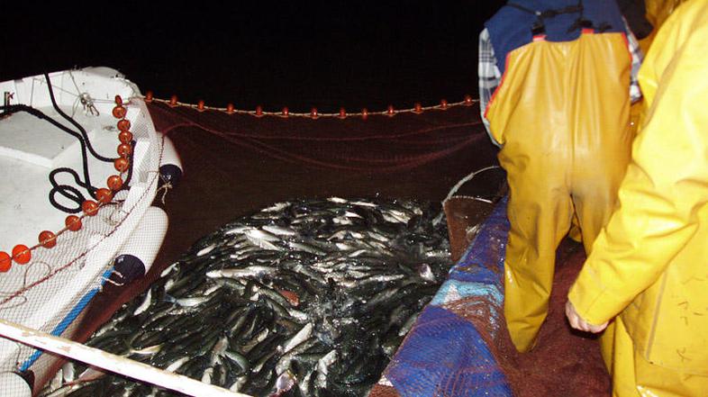 Ribiči si ob ugodnem vremenu do konca marca obetajo boljši ulov kot lani. (Foto: