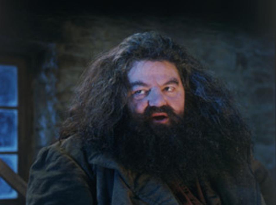 Harry Potter | Avtor: Arhiv Koloseja