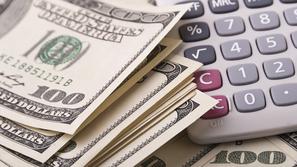 denar dolar dolarji kalkulator