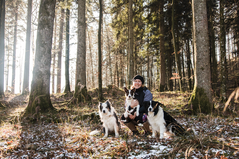 pes blazno blatno | Avtor: Blazno blatno