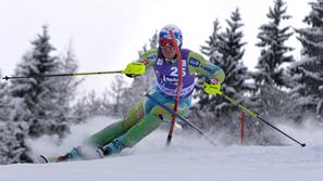 Vajdič od izvršilnega odbora SZS ni dobil potrdila. (Foto: Anže Petkovšek)