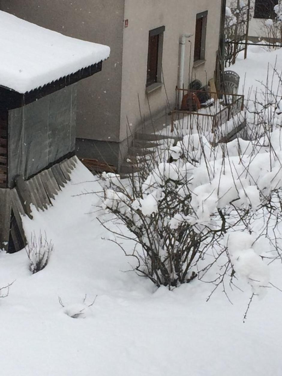 Novo sneženje na Gorenjskem | Avtor: Žurnal24 main