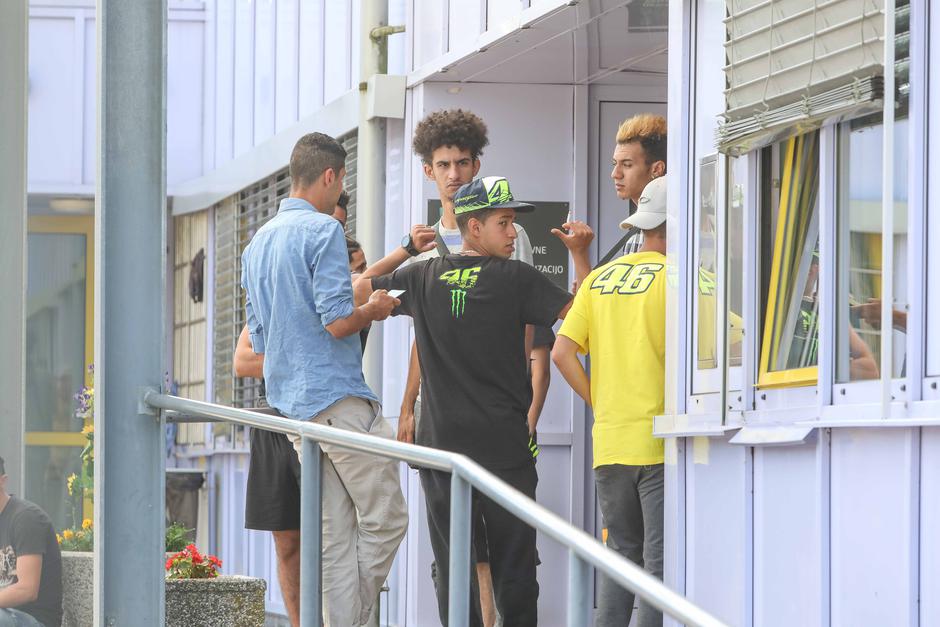 Azilni dom Vič | Avtor: Saša Despot