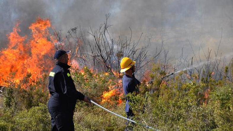 Požar v bližini Barbarige in Fažane.