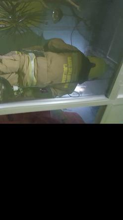 Intervencija v ZOO Ljubljana