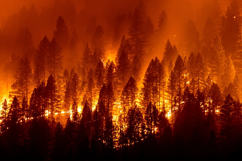 gozdni požar Kalifornija | Avtor: Facebook