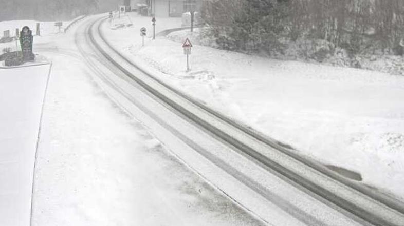 Sneg cestne kamere