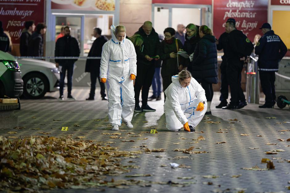 bavarski dvor | Avtor: Saša Despot