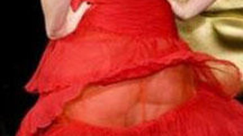 Tokrat se je pri izbiri obleke zares uštela.