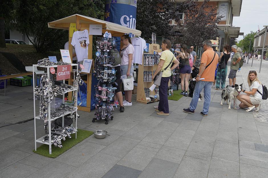 festival živali 2026 | Avtor: Matija_Janežič