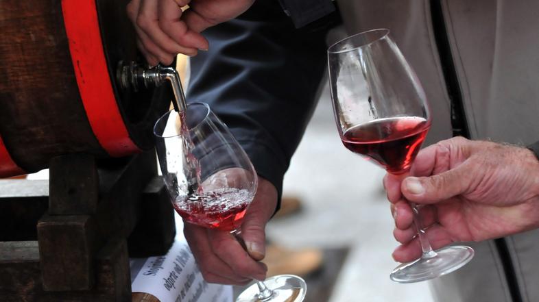 Ljubljana 07.11.08, vinska pot, predstavitev, vinogradniki, vino, hrana, stanti,