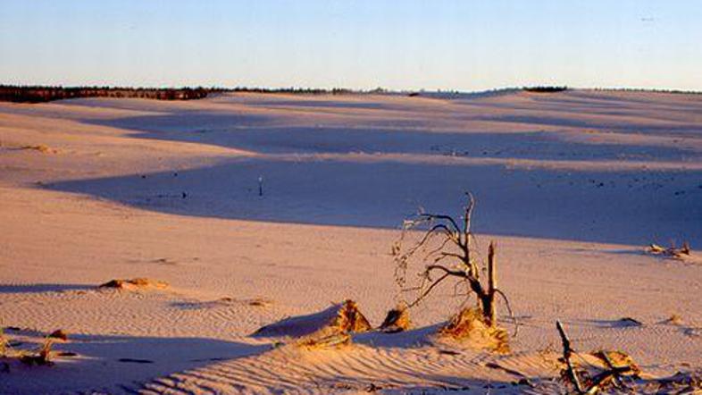 Sahara, Kalahari? Kanada.