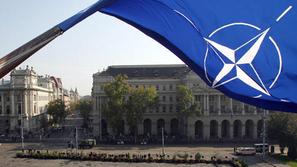 Znak zveze Nato se je na platnu sprememnil v svastiko. © AFP