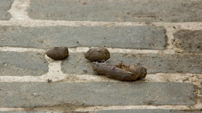 Odslej bodo roza barve.