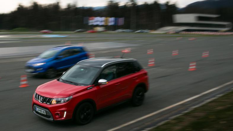 Veliki primerjalni test križancev