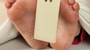 (Foto: Shutterstock)