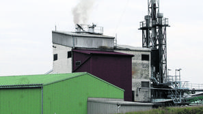 (Foto: Barbara Bradač)