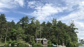 poletno delo v Združenih državah Amerike