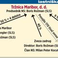 Lastniška struktura Tržnice Maribor.  (Foto: žurnal24grafika)