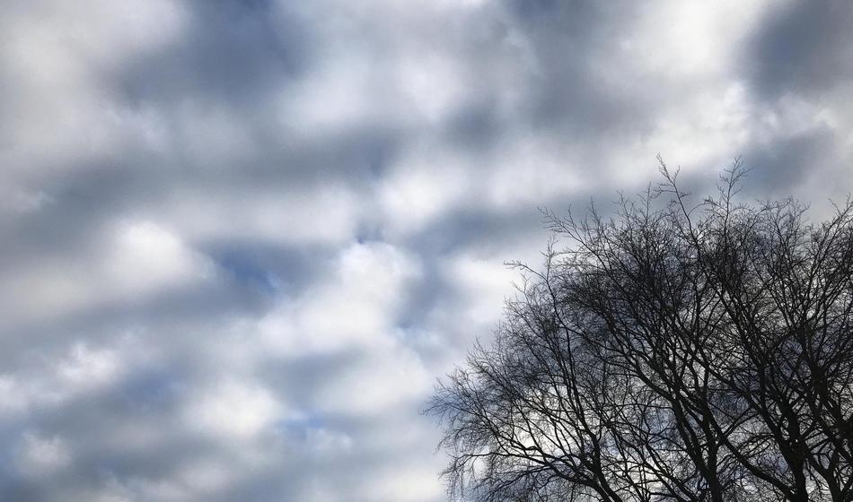 Aprilsko vreme bo le pokazalo svoj obraz