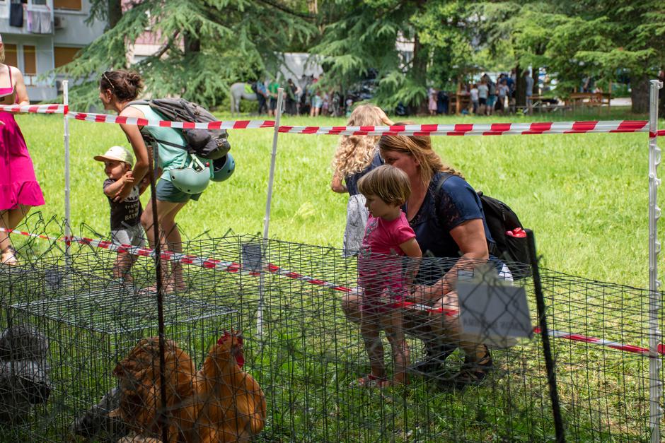 Festival za ljubitelje živali 2026 | Avtor: Cimet Studio