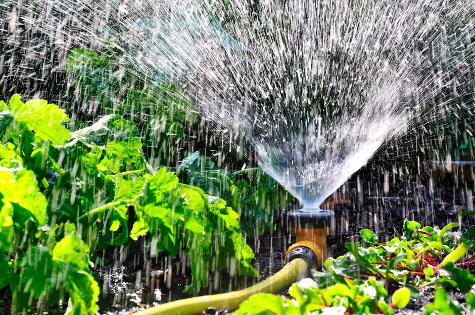 zalivanje vrt | Avtor: Profimedia