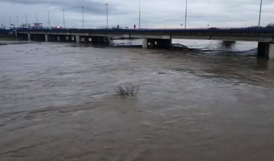 Velika akcija: Zgodaj zjutraj iz Save reševali okoli 30 ljudi