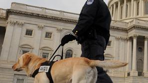Policist lajanja na svojega psa ni odpustil. (Foto: Epa)